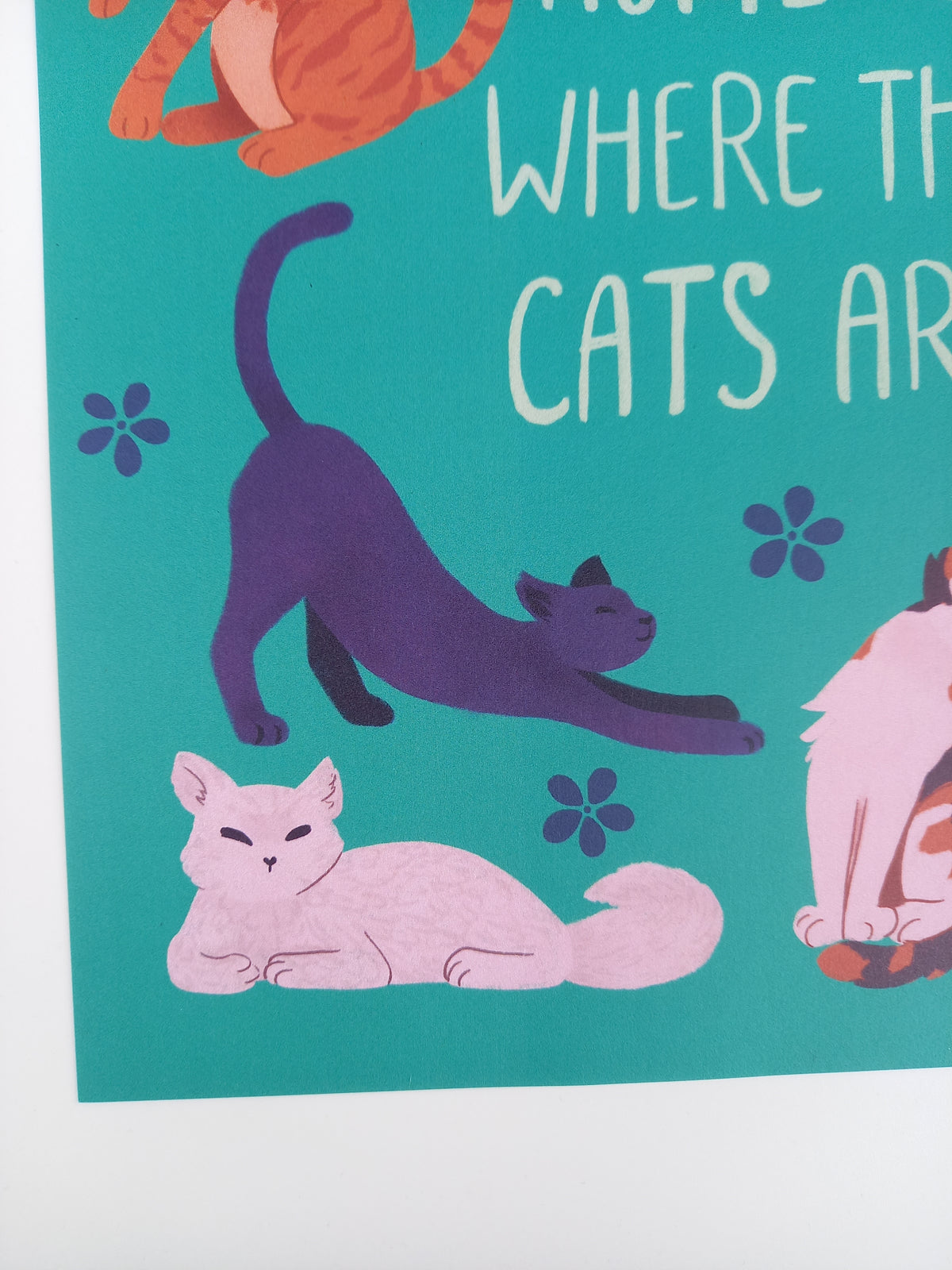 home is where the cats are • poster