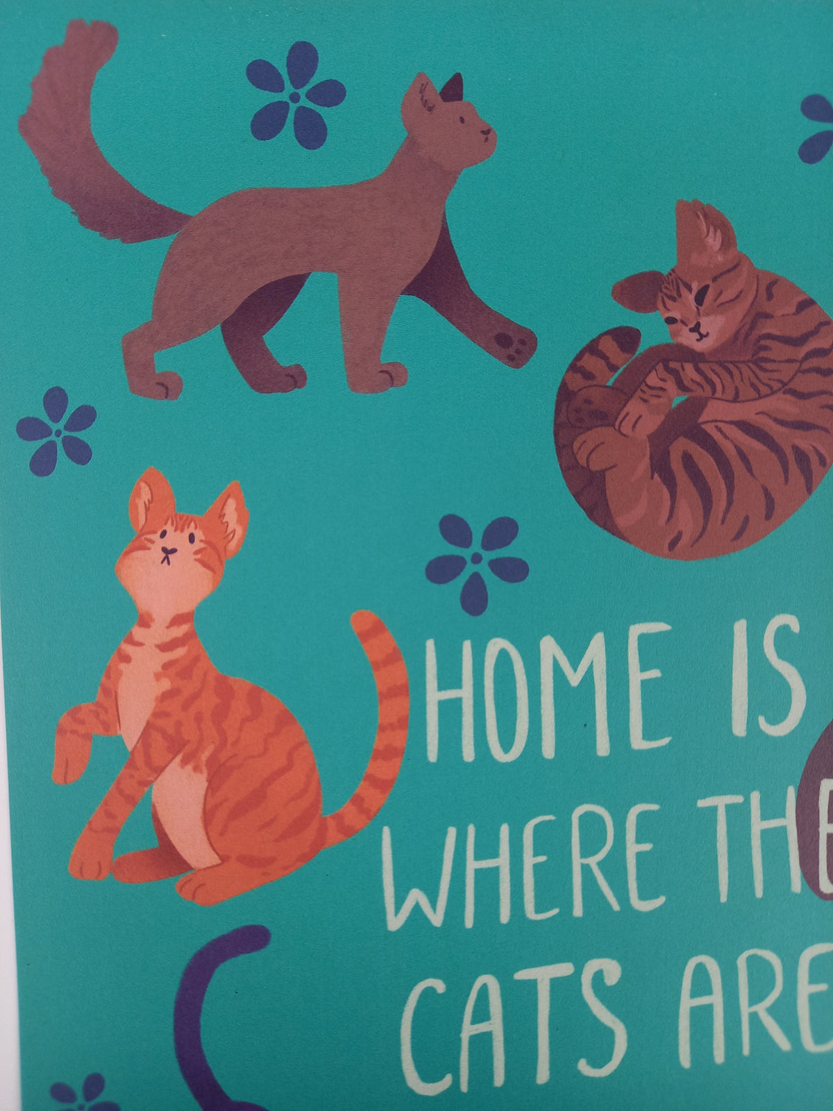 home is where the cats are • poster