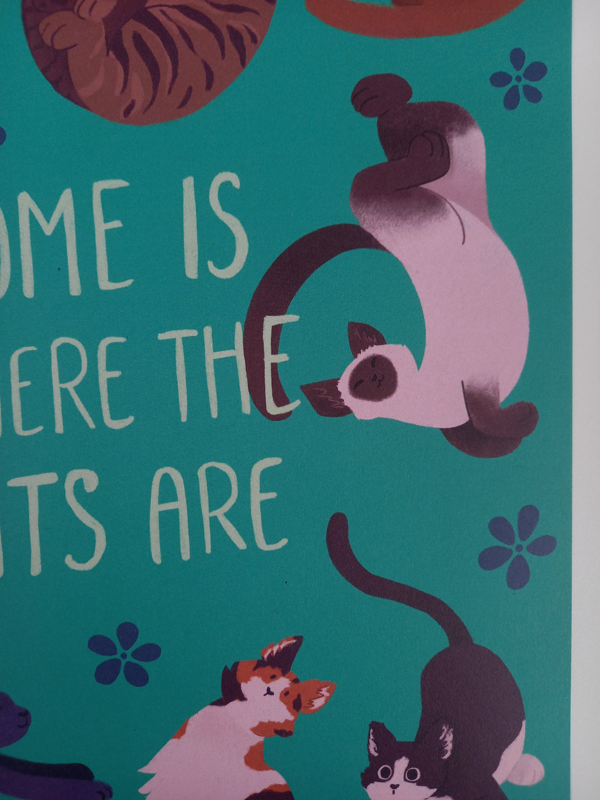 home is where the cats are • poster