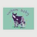 welkom baby