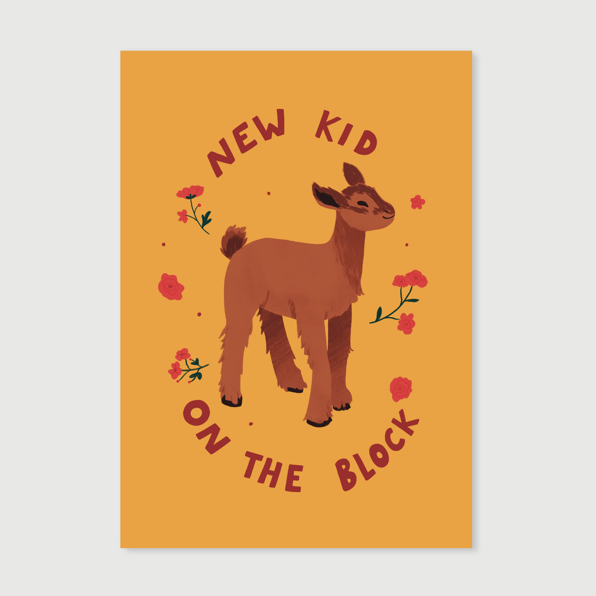 new kid on the block